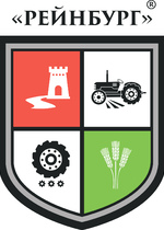 Логотип компании РЕЙБУРГ